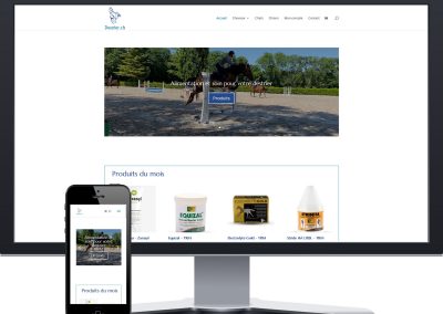 Boutique Destrier