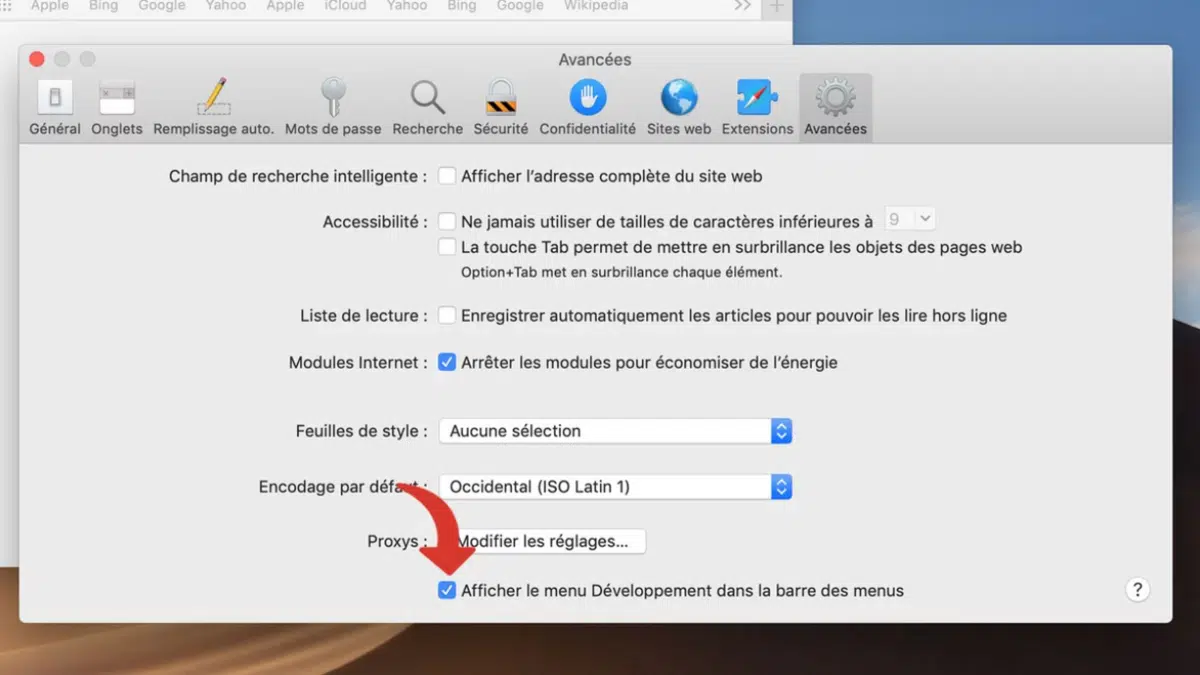 safari3