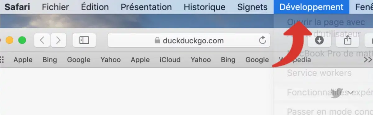 safari4